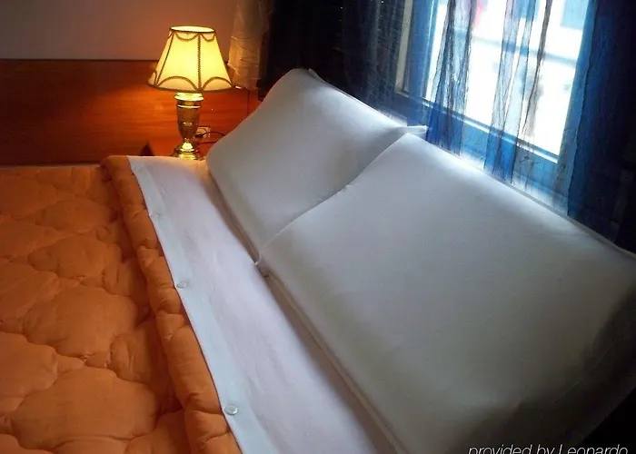 Panorama View On The Castle And The Old Town 4*